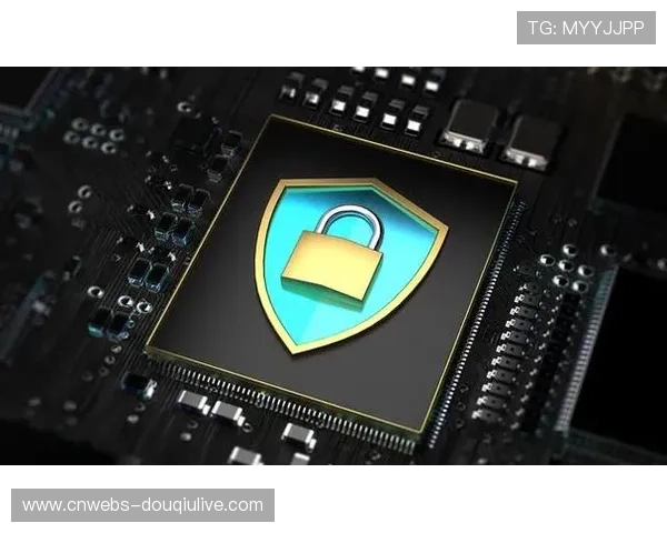 数字水印追踪内容传播路径 保护版权与监测效果